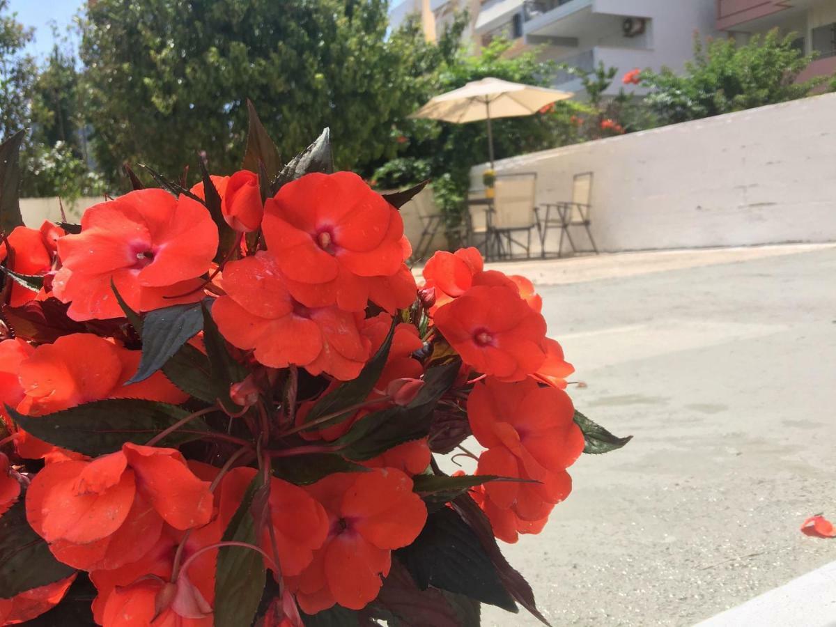 Renovated Apt 100M From Beach Wifi Ac Anavyssos Esterno foto